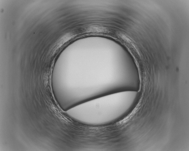 X0000089401017200706150909