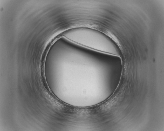 X0000089401020200706150909