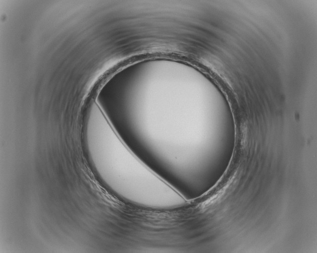 X0000089401021200706150909