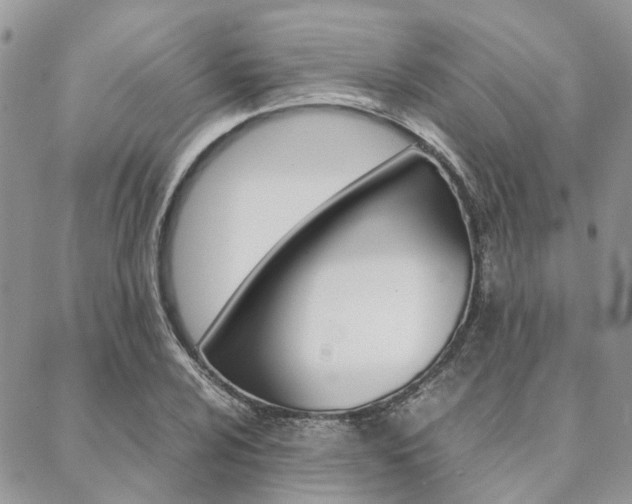 X0000089401024200706150909
