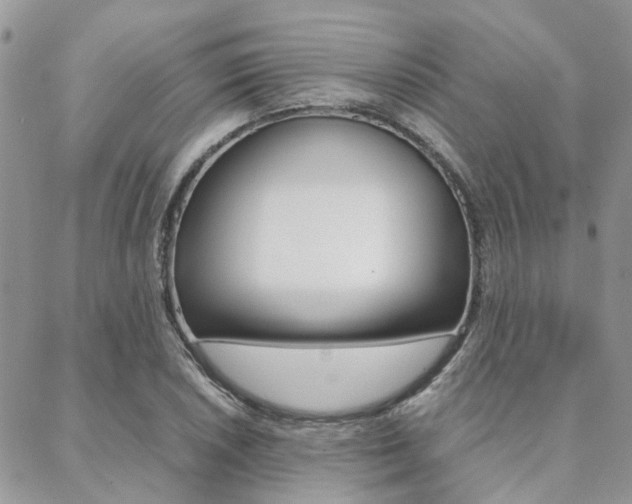 X0000089401026200706150909