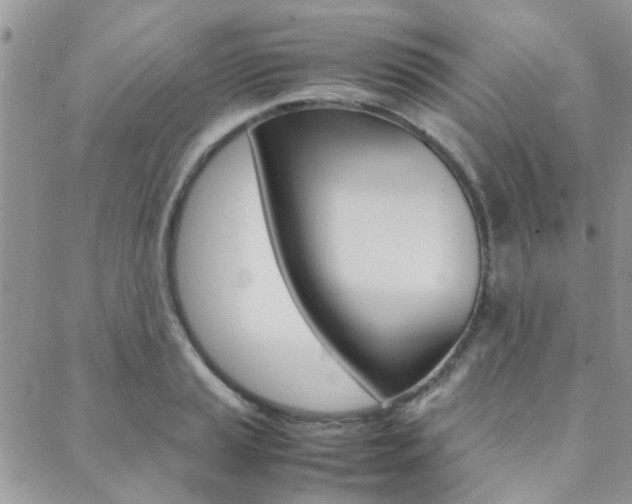 X0000089401037200706150909