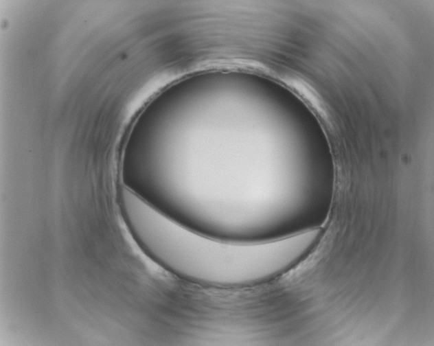 X0000089401046200706150910