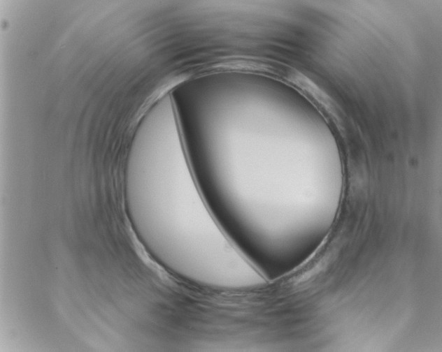 X0000089401049200706150910