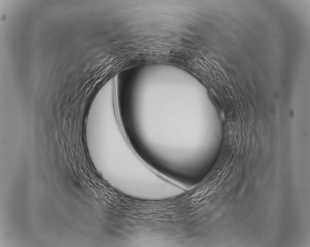 X0000089401057200706150909