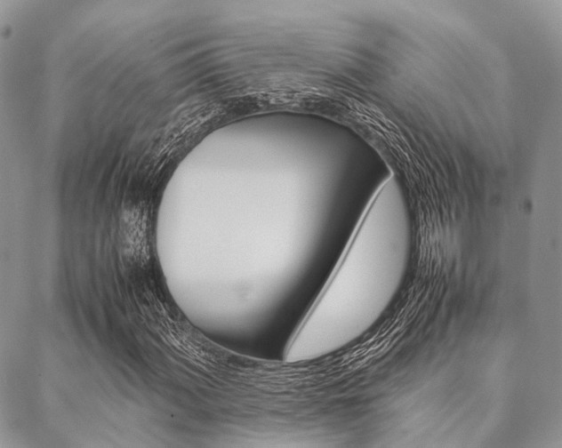 X0000089401060200706150909
