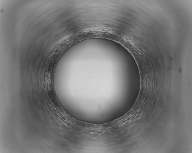 X0000089401062200706150909
