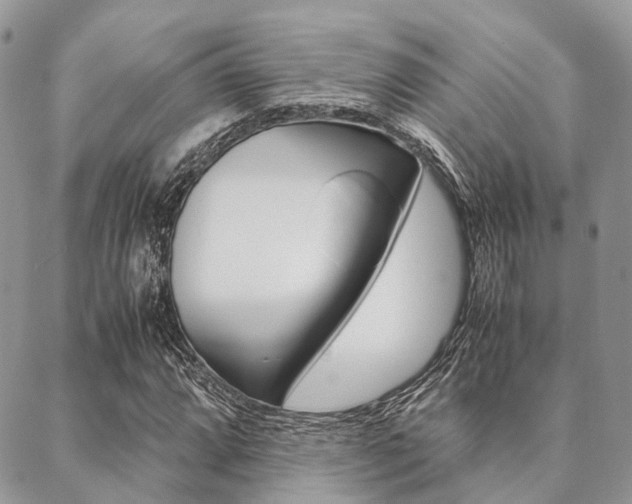 X0000089401064200706150909