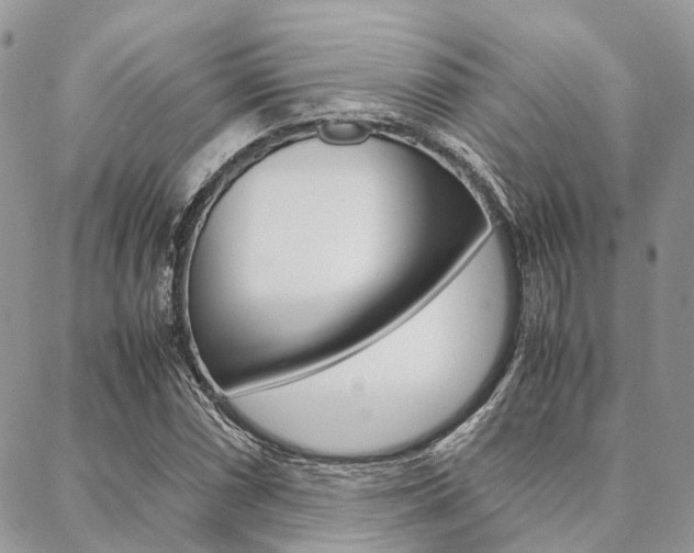X0000089401066200706150909