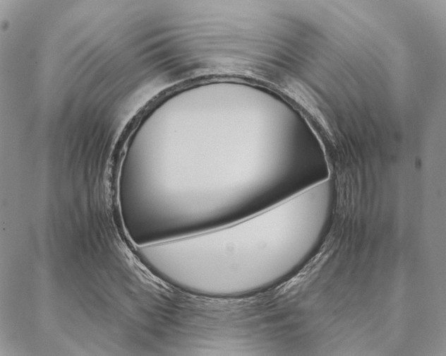 X0000089401068200706150909