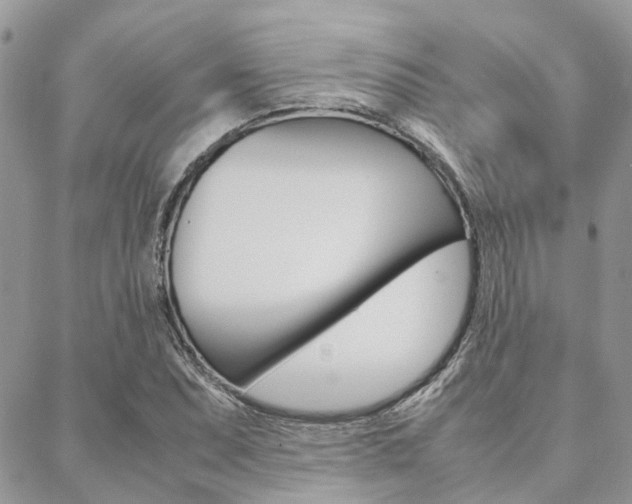 X0000089401071200706150909