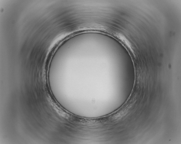X0000089401072200706150909