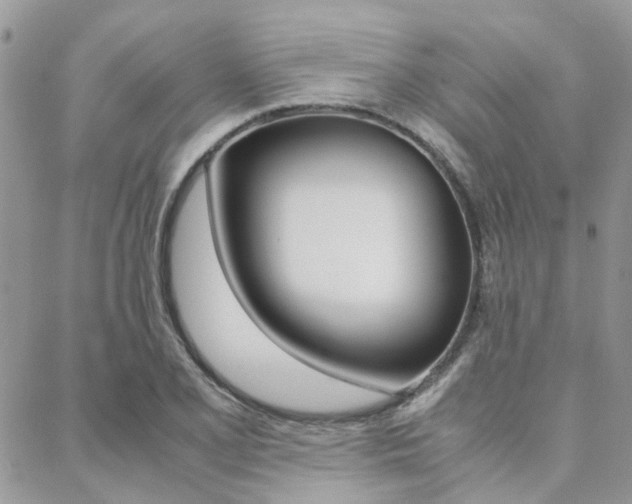 X0000089401077200706150909