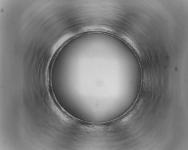 X0000089401082200706150908