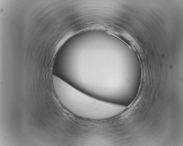 X0000089401097200706150908