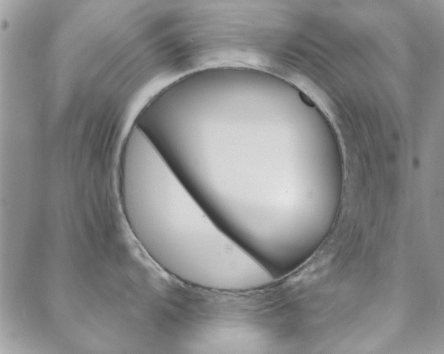 X0000089401104200706150908
