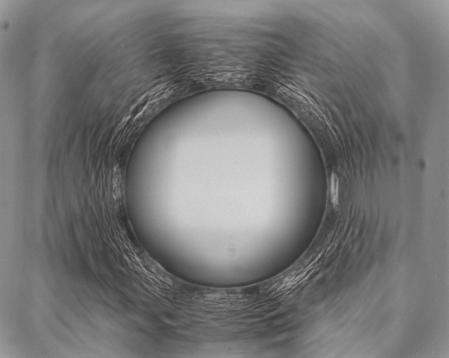 X0000089401107200706150907
