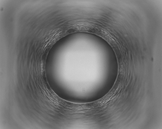 X0000089401108200706150907