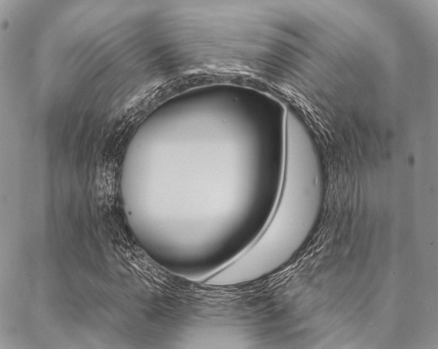 X0000089401110200706150907
