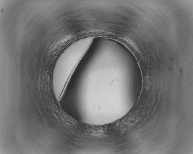 X0000089401111200706150907