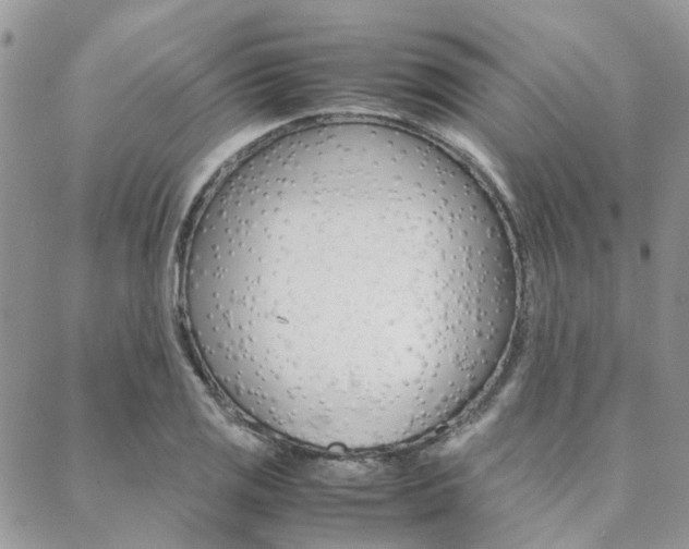 X0000089401125200706150908