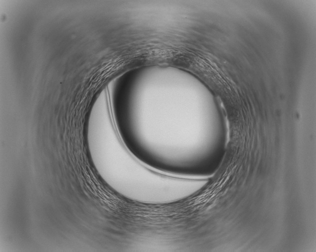 X0000089401153200706150907