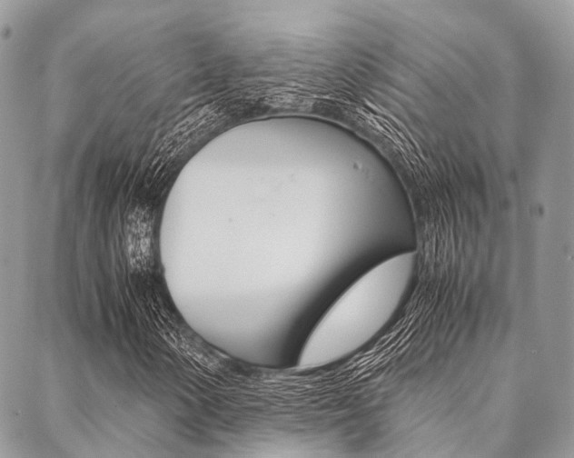 X0000089401154200706150907