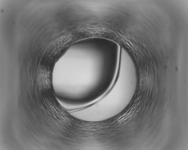 X0000089401156200706150907