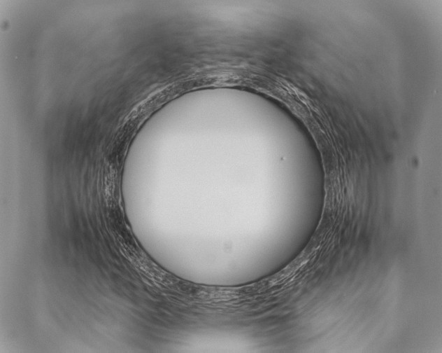 X0000089401158200706150907