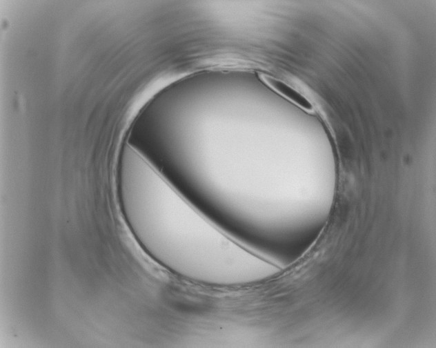 X0000089401195200706150907