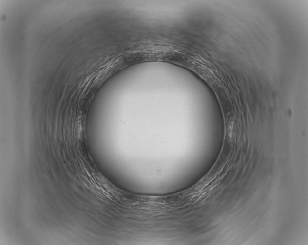 X0000089401204200706150906