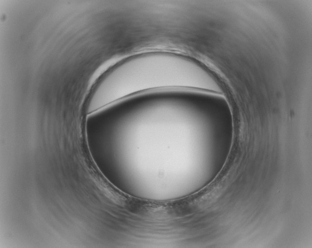 X0000089401222200706150906