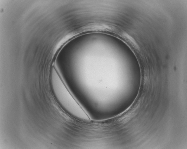 X0000089401226200706150906