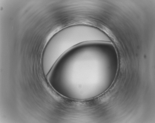 X0000089401234200706150906