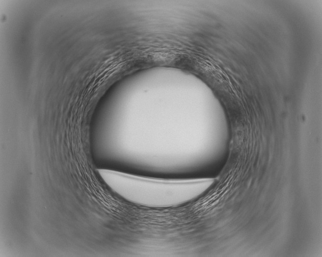 X0000089401249200706150906