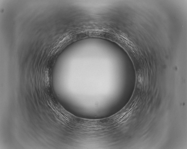X0000089401252200706150906