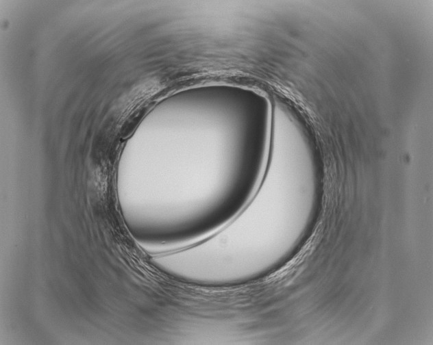 X0000089401257200706150906