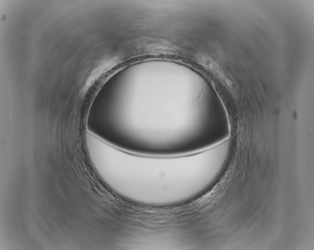 X0000089401261200706150906