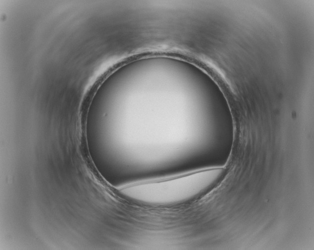 X0000089401270200706150905
