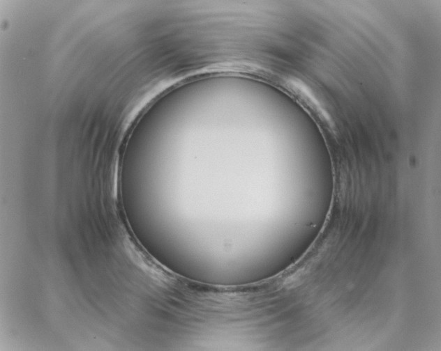 X0000089401276200706150905