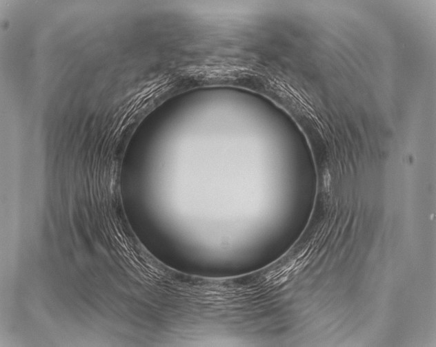 X0000089401300200706150904