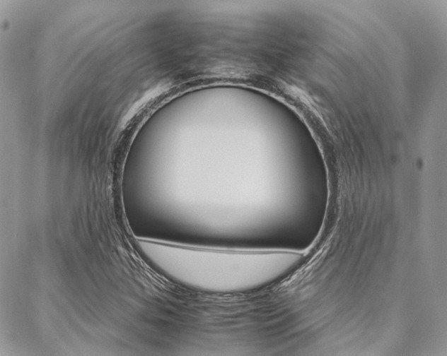 X0000089401307200706150904