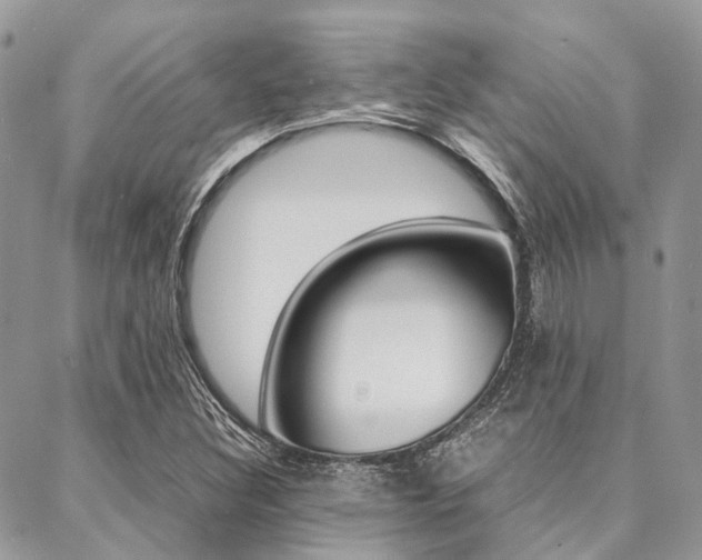 X0000089401308200706150904