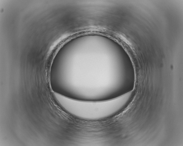 X0000089401310200706150904