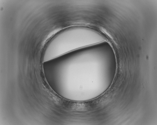 X0000089401315200706150905