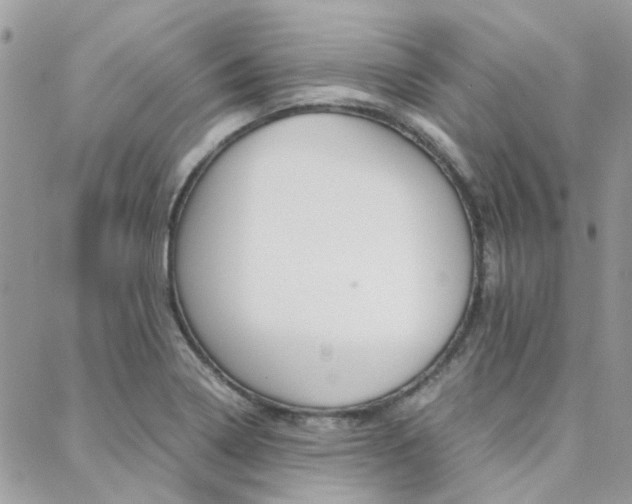 X0000089401322200706150905