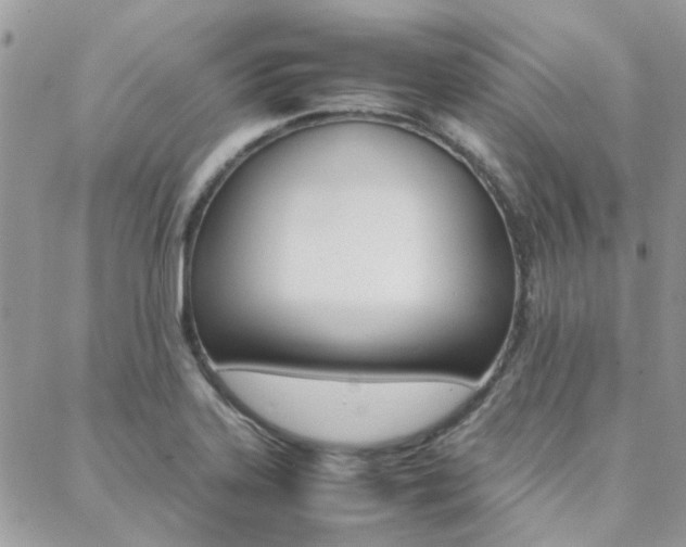 X0000089401323200706150905