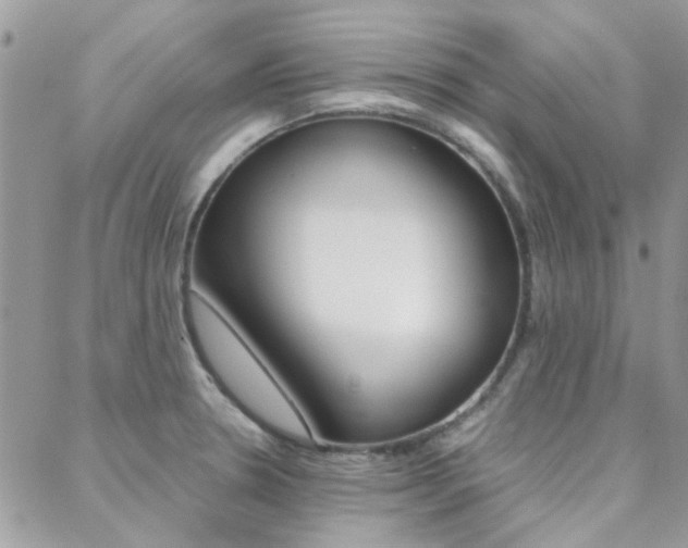 X0000089401330200706150905