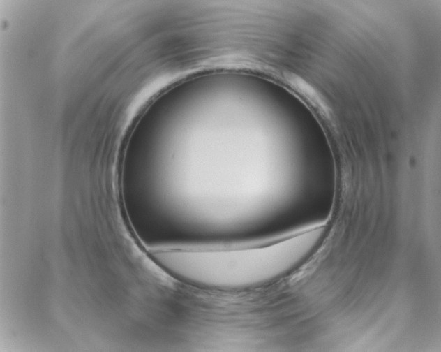X0000089401334200706150905