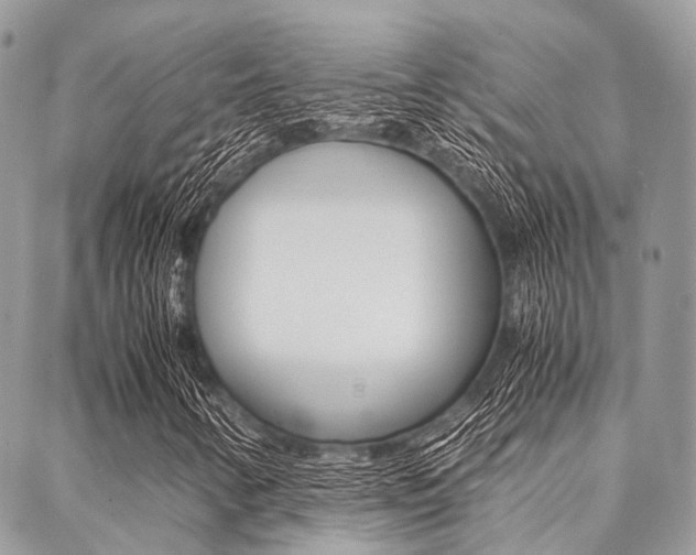 X0000089401346200706150904